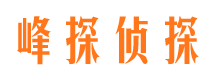 江汉市侦探调查公司